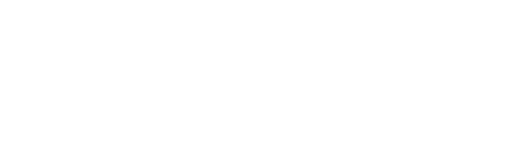 1stmint